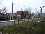 Třibřichy